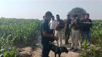 Deshii Khabar- भागलपुर में चौकी दार के भाई की हत्या: मकई खेत में मिला लाश, शरीर पर जखम के निशान,परिजन बोलें- शराब पार्टी के बाद मर्डर हुआ Deshii Khabar खबर दुनिया जहाँ की