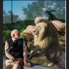 Deshii Khabar- प्रधानमंत्री मोदी का वंतारा दौरा : जंगली जानवरों संग खेलते और शावकों को दूध पिलाते नजर आये। Deshii Khabar खबर दुनिया जहाँ की