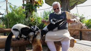 Deshii Khabar- प्रधानमंत्री मोदी का वंतारा दौरा : जंगली जानवरों संग खेलते और शावकों को दूध पिलाते नजर आये। Deshii Khabar खबर दुनिया जहाँ की